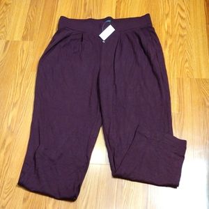 LOFT women's New Sz Large pants
